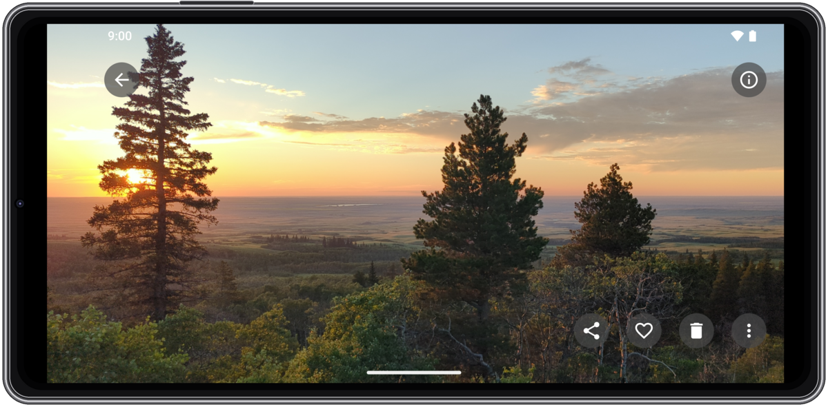 The Halation Gallery photo viewer showing a landscape sunset.